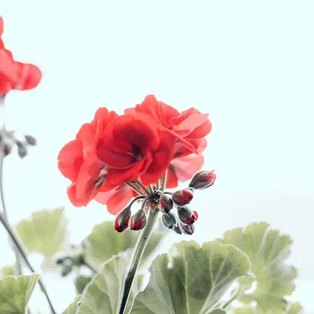 Stylish Lakeview Balcony & Free Parking * ラア