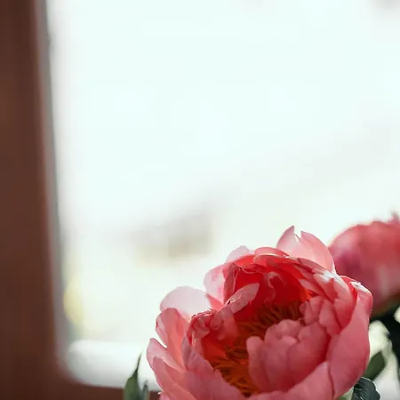 アパート Stylish Lakeview Balcony & Free Parking *