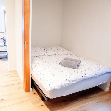 Stylish Lakeview Balcony & Free Parking * Laax