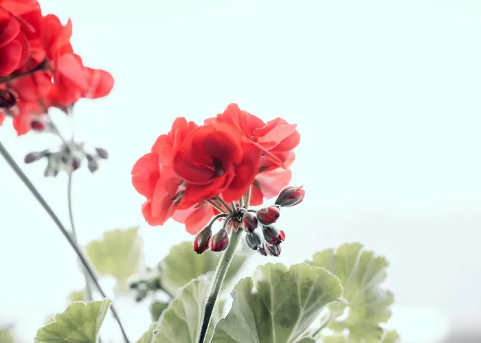 Stylish Lakeview Balcony & Free Parking * לאקס